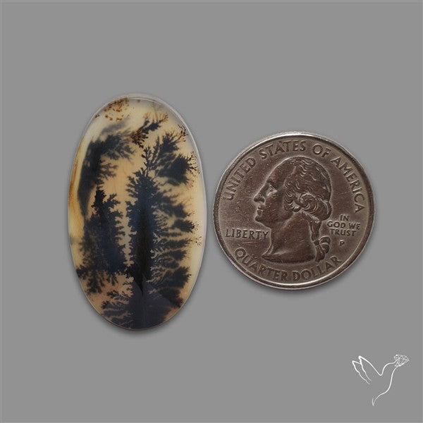 Scenic Agate Cabochon