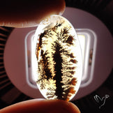 Scenic Agate Cabochon