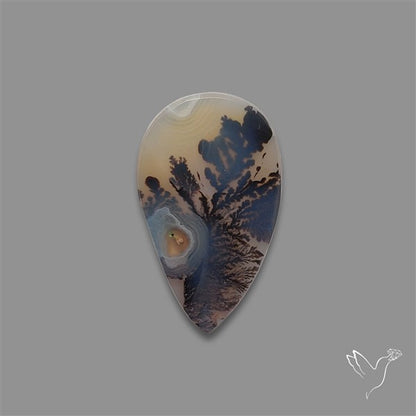 Scenic Agate Cabochon