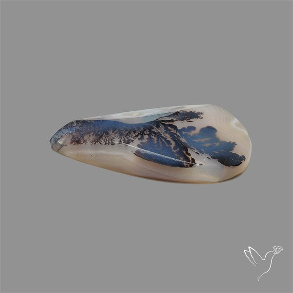 Scenic Agate Cabochon