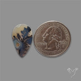 Scenic Agate Cabochon