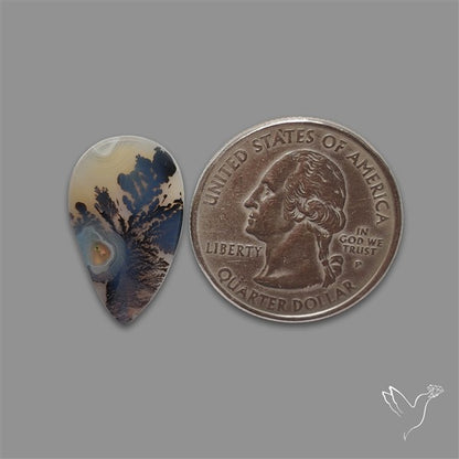 Scenic Agate Cabochon