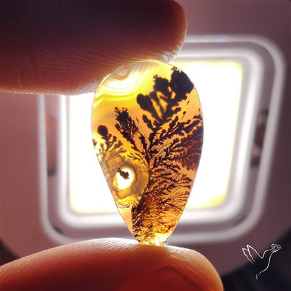 Scenic Agate Cabochon