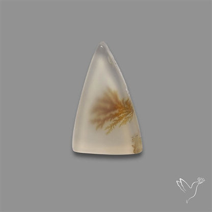 Scenic Agate Cabochon