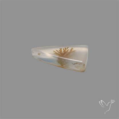 Scenic Agate Cabochon