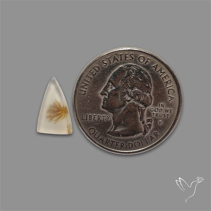 Scenic Agate Cabochon