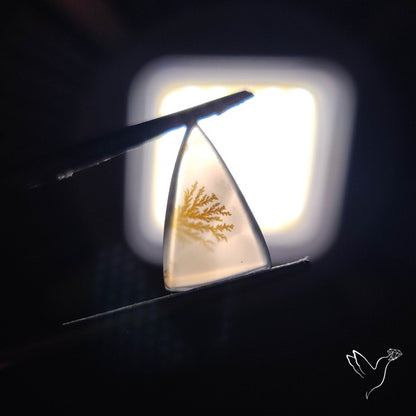 Scenic Agate Cabochon
