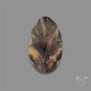 Scenic Agate Cabochon