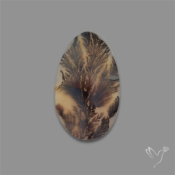 Scenic Agate Cabochon