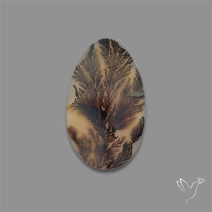 Scenic Agate Cabochon