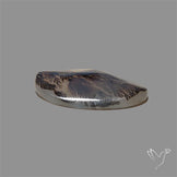 Scenic Agate Cabochon