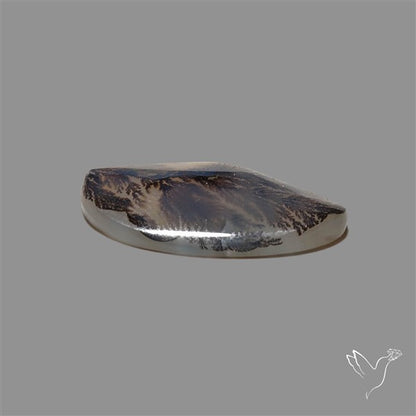 Scenic Agate Cabochon