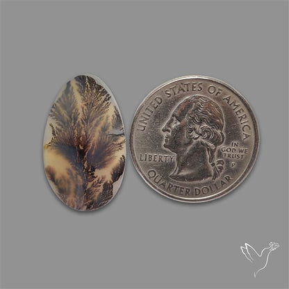 Scenic Agate Cabochon
