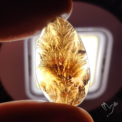 Scenic Agate Cabochon