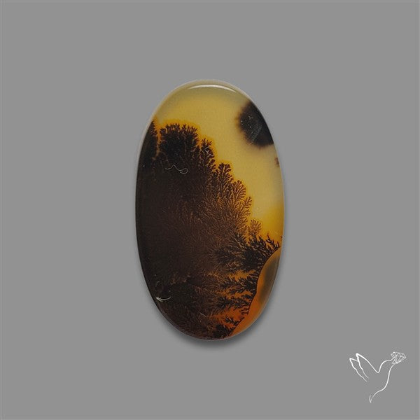 Scenic Agate Cabochon