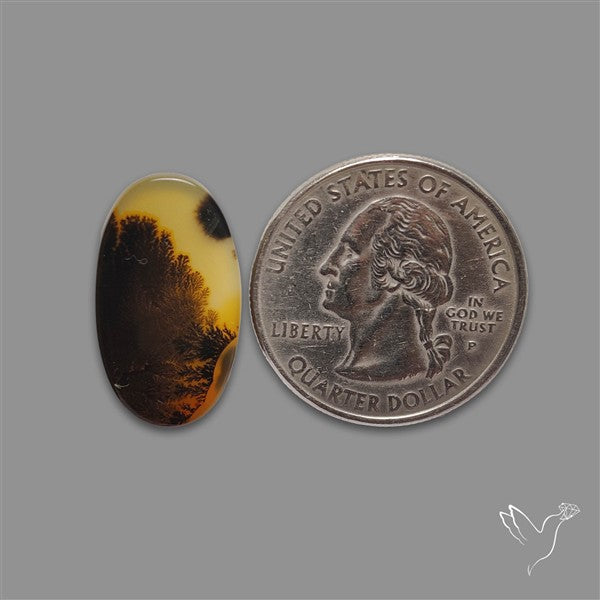 Scenic Agate Cabochon