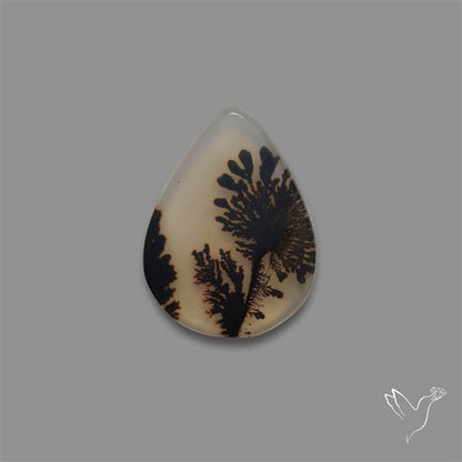 Scenic Agate Cabochon