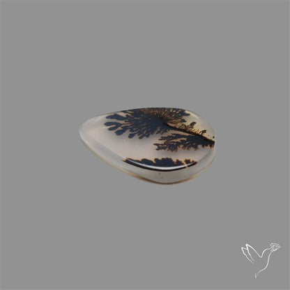 Scenic Agate Cabochon