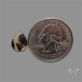 Scenic Agate Cabochon