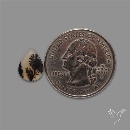 Scenic Agate Cabochon