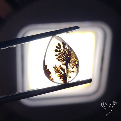 Scenic Agate Cabochon