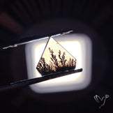 Scenic Agate Cabochon