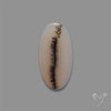 Scenic Agate Cabochon