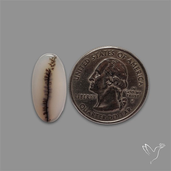 Scenic Agate Cabochon