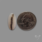 Scenic Agate Cabochon