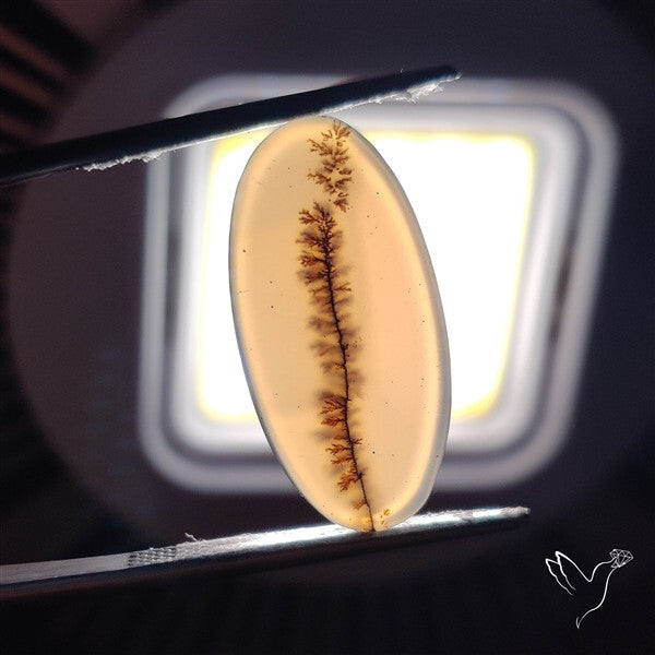 Scenic Agate Cabochon