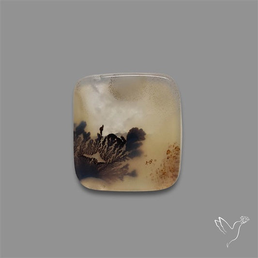 Scenic Agate Cabochon