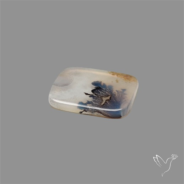 Scenic Agate Cabochon
