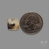 Scenic Agate Cabochon