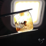 Scenic Agate Cabochon