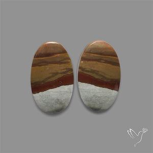 Polychrome Picture Jasper Pair
