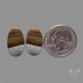 Polychrome Picture Jasper Pair