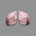 Hyacinth Jasper Cabochons Pair