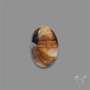 Copper Rutilated Quartz Cabochon