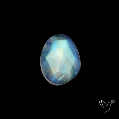 Rose Cut Rainbow Moonstone