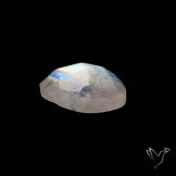 Rose Cut Rainbow Moonstone