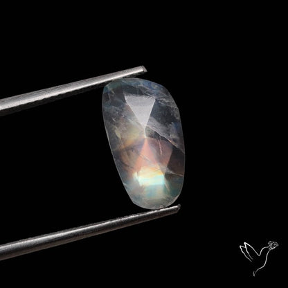 Rose Cut Rainbow Moonstone