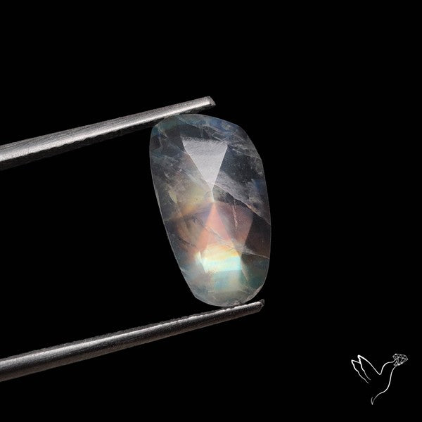 Rose Cut Rainbow Moonstone