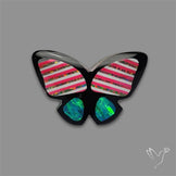 Aurora Opal With Black Onyx Butterfly Carving Doublet