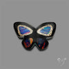 Aurora Opal With Black Onyx Butterfly Carving Doublet