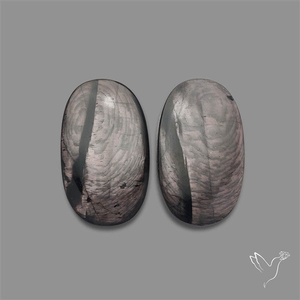 Hypersthene Pair