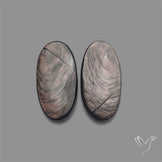 Hypersthene Pair