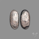 Hypersthene Pair