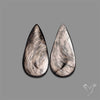 Hypersthene Pair