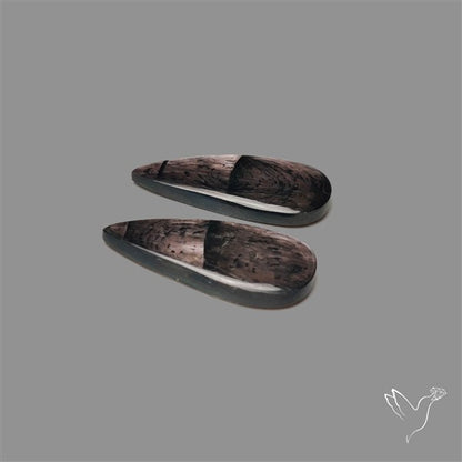 Hypersthene Pair