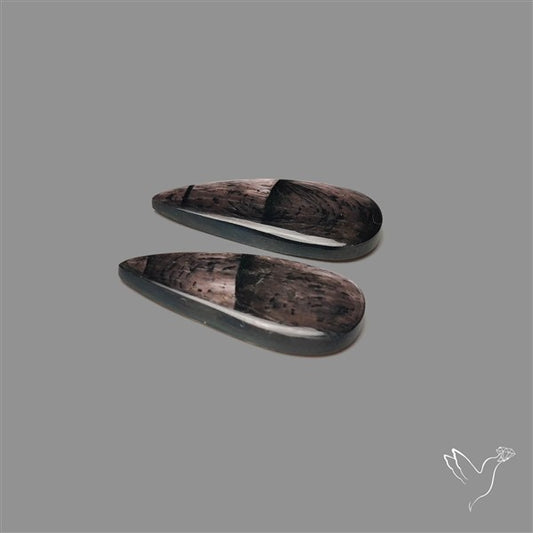 Hypersthene Pair